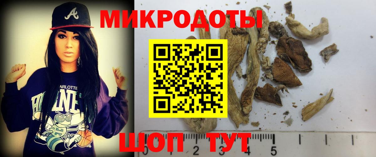 Псилоцибиновые грибы MAGIC MUSHROOMS  Псилоцибиновые грибы Psilocybine cubensis  Шелехов  Вход с VPN 